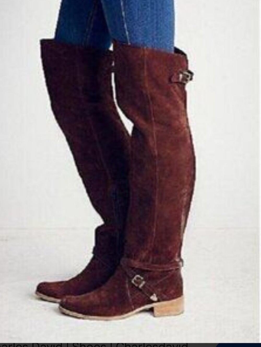 Charles David Amorosa Women’s Over-the-Knee Suede Riding Boots - Brown